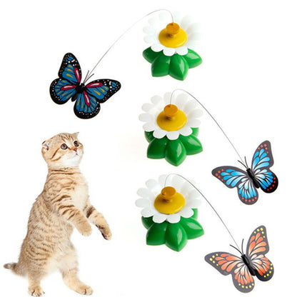 Cat Toy Electric Butterfly