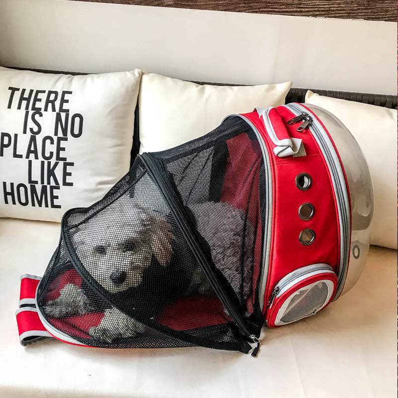 Pet backpack portable transparent space capsule