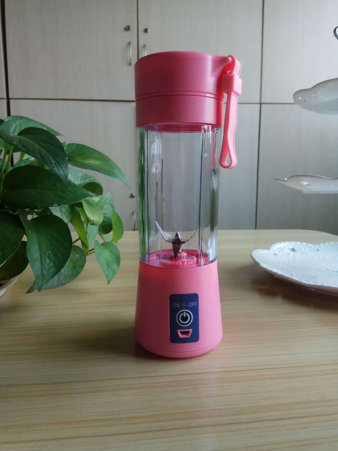 Electric juicer