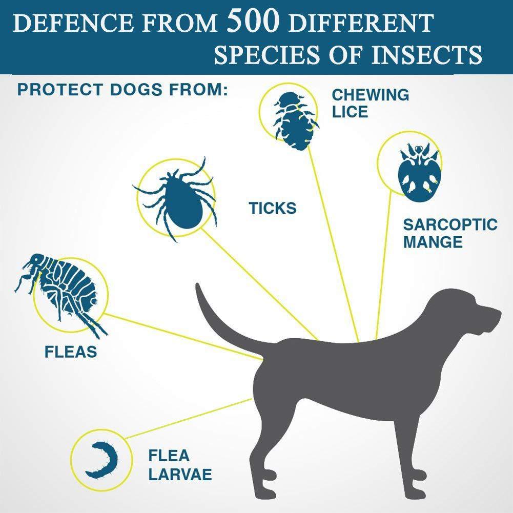 Pets Natural Essential Oil Repellent Flea Ticks Lice Collar