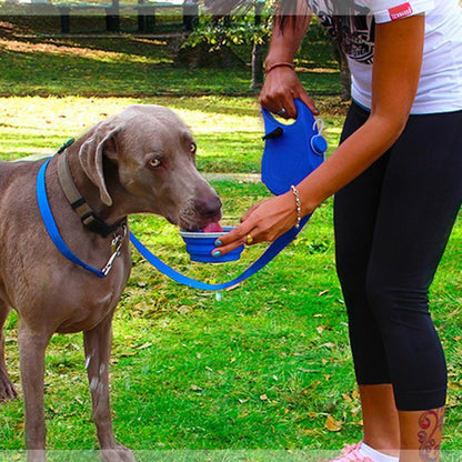 Pet leash walking rope